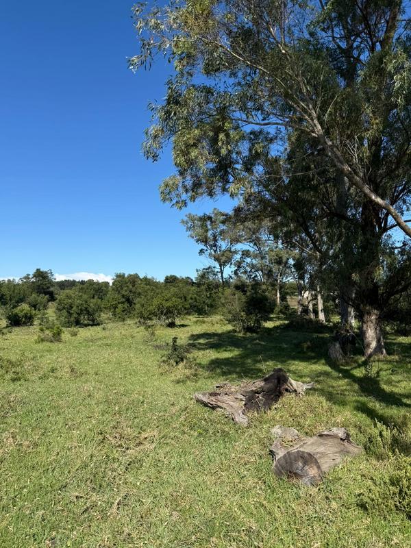 0 Bedroom Property for Sale in Little Chelsea Eastern Cape